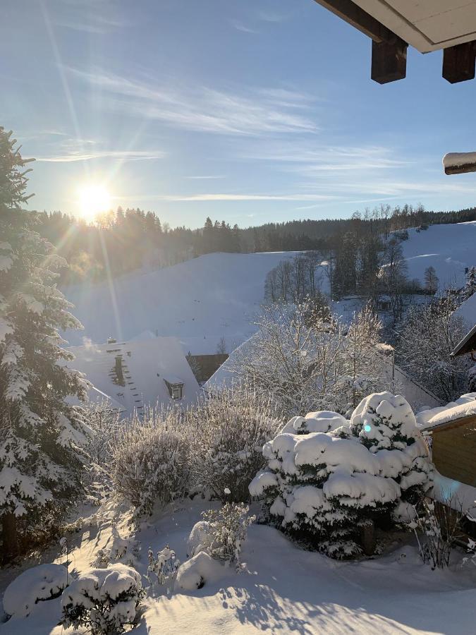 Ferienhaus Rotzinger Hinterzarten Dış mekan fotoğraf