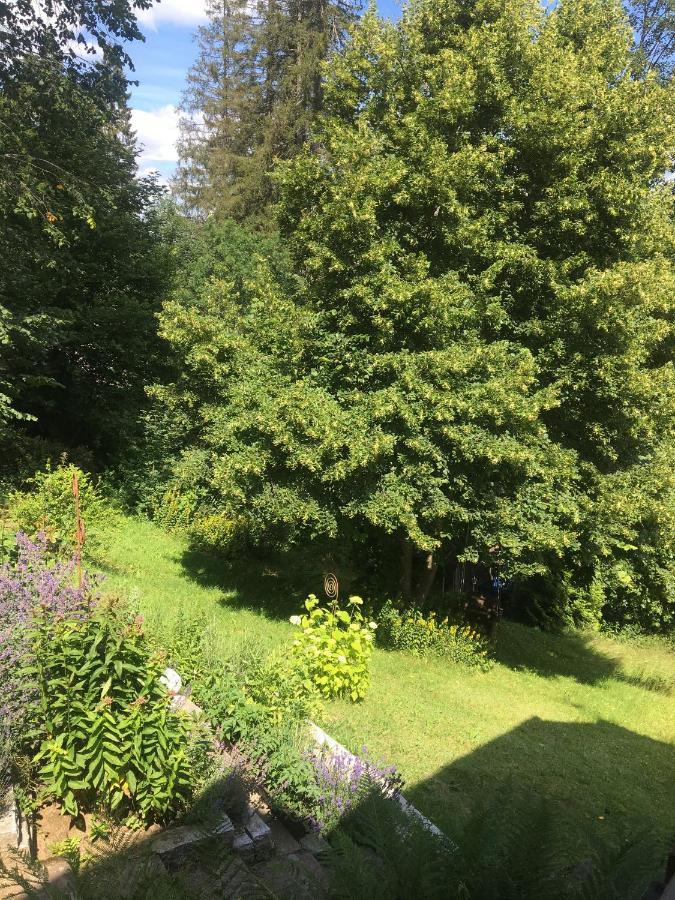 Ferienhaus Rotzinger Hinterzarten Dış mekan fotoğraf