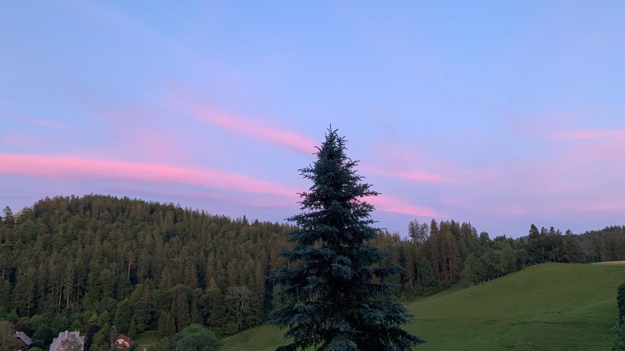 Ferienhaus Rotzinger Hinterzarten Dış mekan fotoğraf