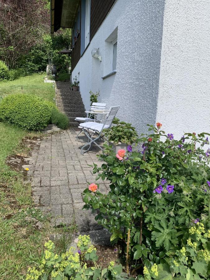Ferienhaus Rotzinger Hinterzarten Dış mekan fotoğraf