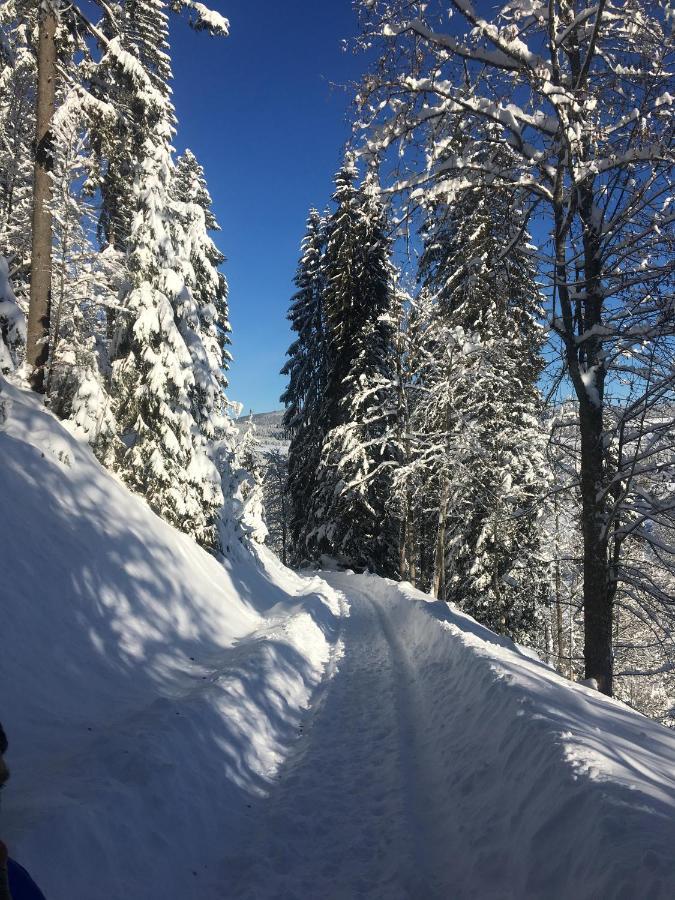 Ferienhaus Rotzinger Hinterzarten Dış mekan fotoğraf